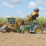 Cosumar leader Marocain du sucre construira une raffinerie de la canne à sucre au Cameroun
